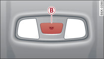 Headliner: Rear interior lights (example)